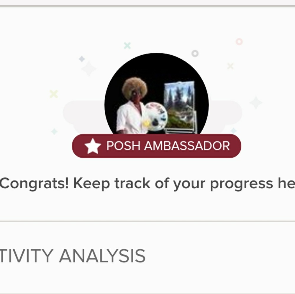 I am a Poshmark Ambassador 💝💝💝 - Picture 4 of 4